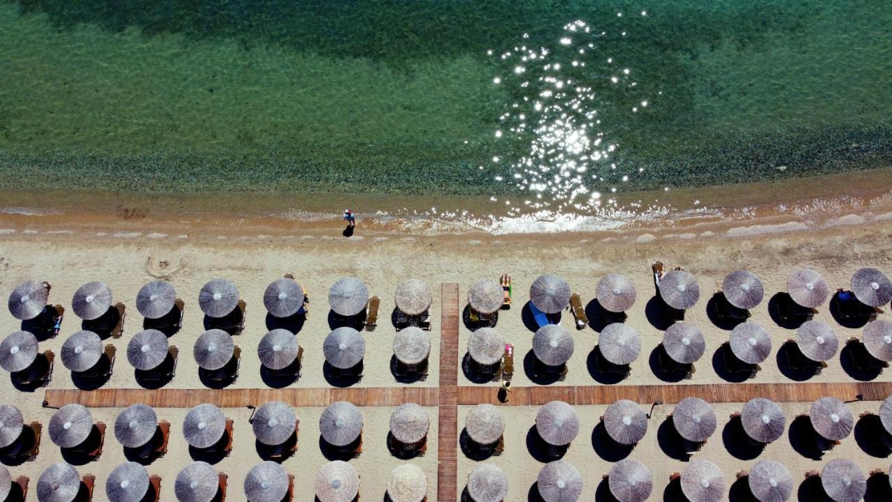 Nea Kallikrateia Beach Front Villa מראה חיצוני תמונה